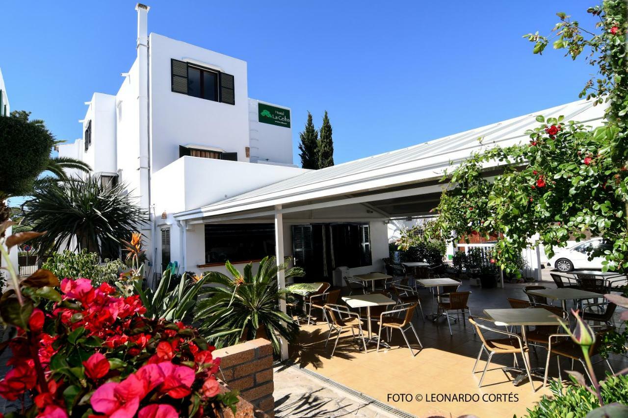 Hostal La Ceiba Cala d'Or  Exterior photo